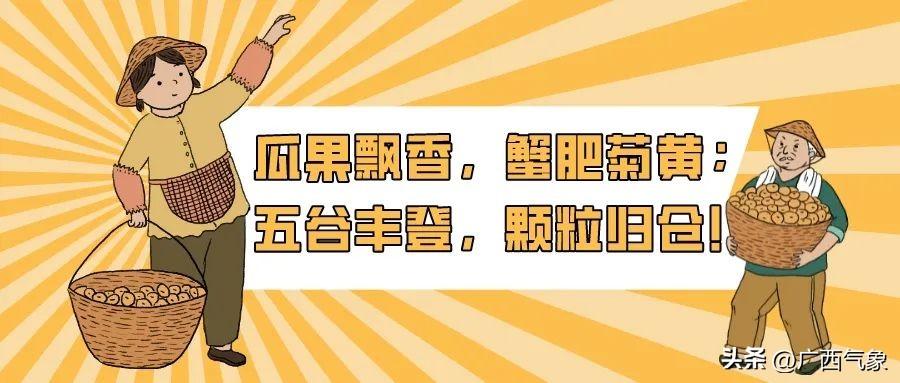 全球热带气旋动态更新，热带扰动最新消息及分析影响