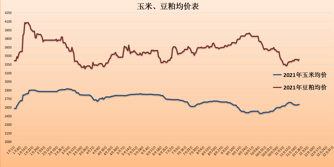 今日豆粕最新价格行情解析