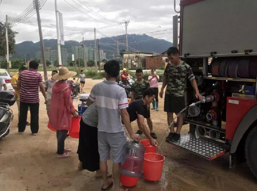 肇庆洪水最新消息，暴雨后的挑战与应对