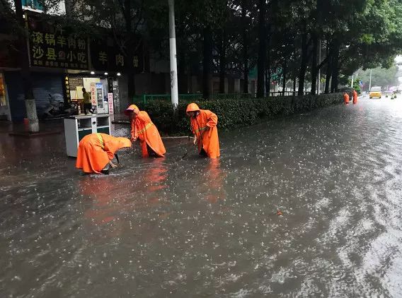 贵阳暴雨最新消息，城市应对策略与民众生活观察