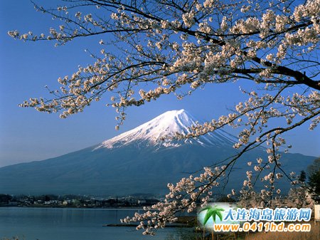 日本富士山地质活动与旅游动态同步更新最新消息