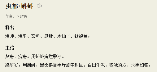 蝌蚪网最新地址，探索网络世界最新动态的门户