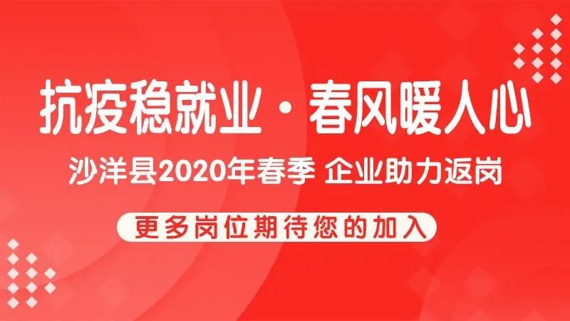 沙洋招聘网最新招聘动态及其区域影响分析