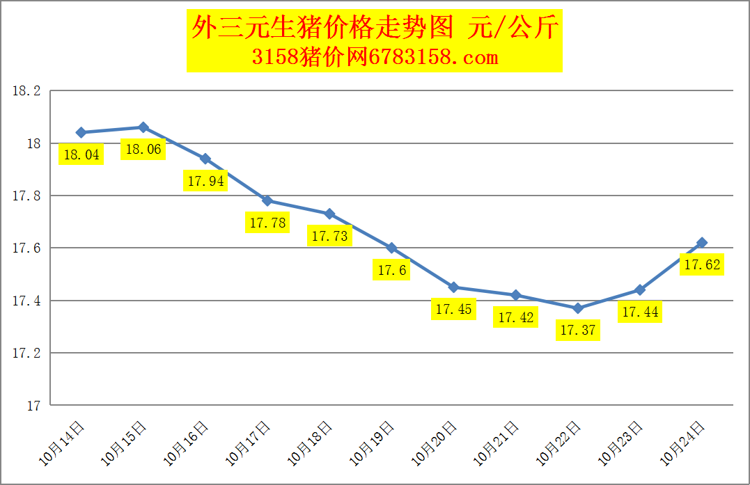 全国生猪价格最新行情解析