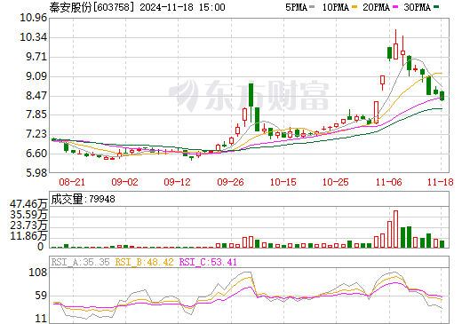 2024年11月19日 第48页