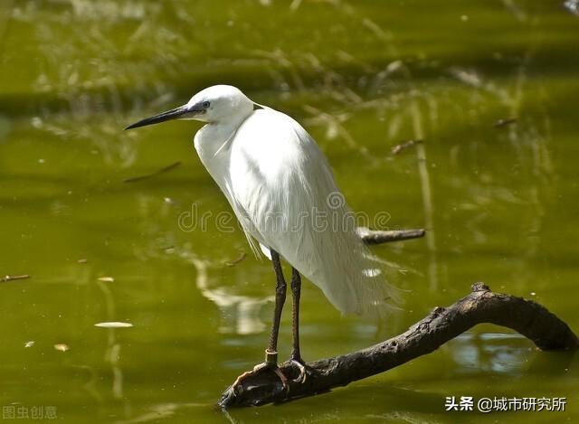 曲阜天气预报及气象分析最新报告