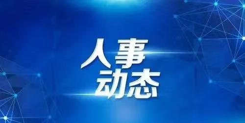 阳江市最新人事任免动态概览