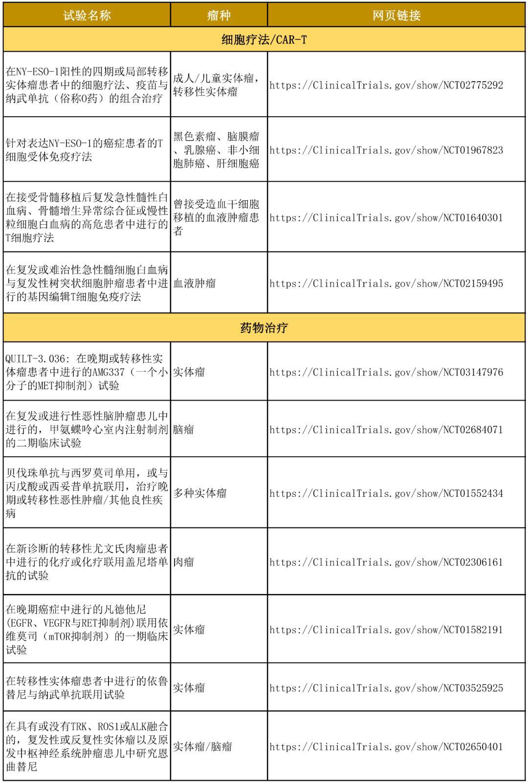 最新网址导航趋势分析，探索未知领域与前沿预测（2019版）