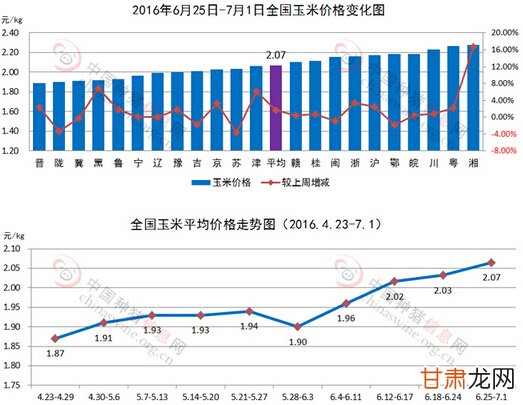 宁夏玉米最新价格行情分析