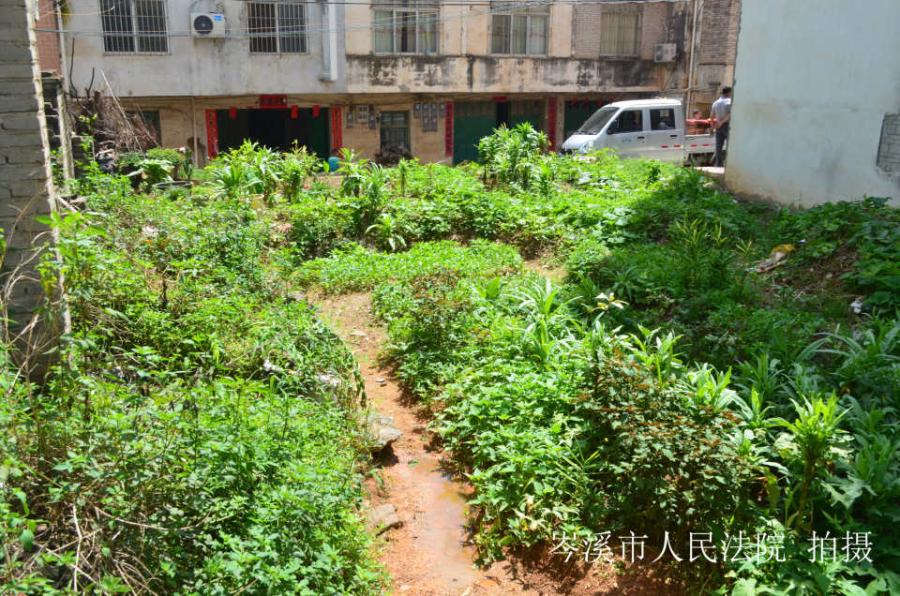 岑溪最新土地出售，投资兴业的新热点