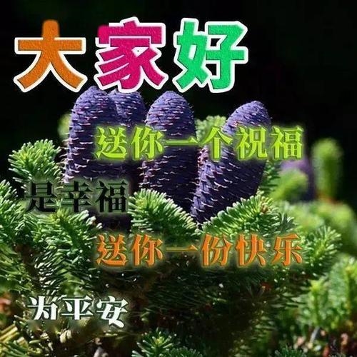 最新图片分享，开启美好一天的新篇章