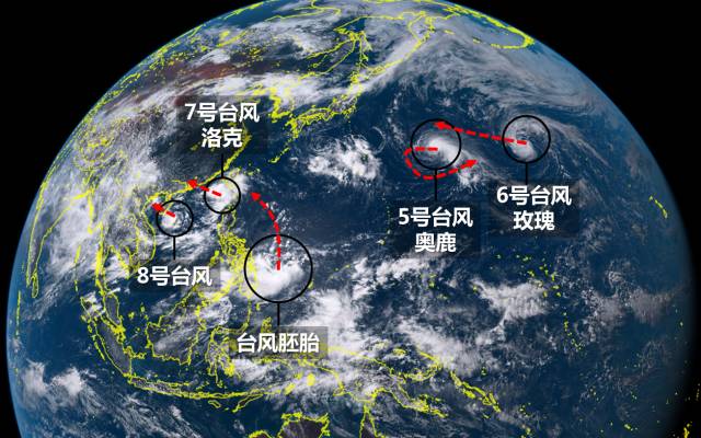 风台最新动态解析与深度探讨